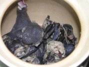 红枣乌鸡汤