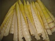 原汁原味的笋