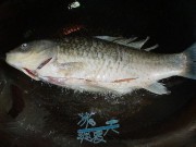 鲫鱼豆腐汤
