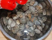 蛤蜊豆腐汤