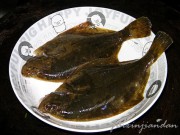 清蒸左口鱼