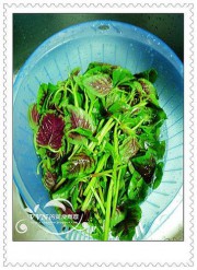 蒜茸红菜苔