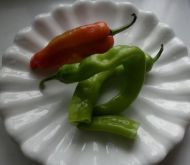 新版鱼香肉丝