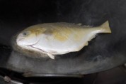 适合宝宝的清煮鲳鱼