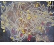 黄豆芽炒粉条