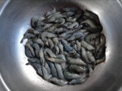 烧河虾