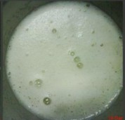 抹茶蛋白椰蓉球