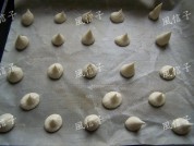 葡萄干小圆饼