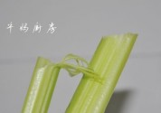 红丝芹菜