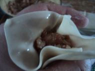 白菜猪肉馄饨