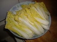 蚝油娃娃菜