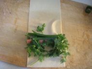 烤豆腐卷