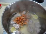 虫草花玉米排骨汤