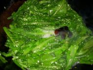 蒜香窝笋叶