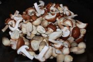 蘑菇炒草菇