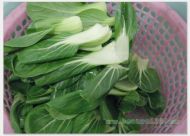 青菜粉丝豆腐果
