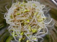 凉拌黄豆芽