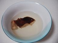 青萝卜煲老鸭汤