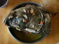 胖头鱼炖豆腐