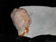 胡萝卜丝饼