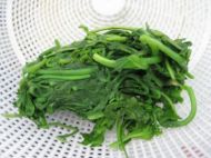 野菜的魅力-荠菜肉丸汤