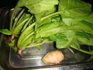 姜汁菠菜