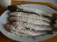 孕妈妈的家常饮食--红烧梭鱼