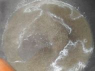 鸡蓉豆腐酿香菇