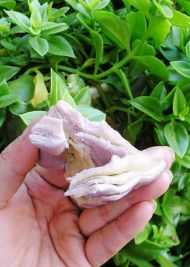 千层紫薯双色鲜肉饼