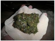 茴香馅饼