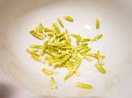 清火莲子芯茶