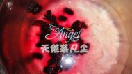 太阳果桑葚粥