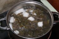 苦瓜酸菜猪肉汤