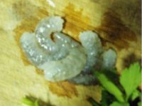 闽南海蛎煎饼