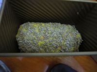 南瓜吐司