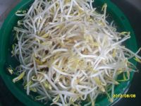 香葱绿豆芽
