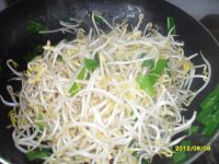 香葱绿豆芽