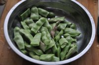 油豆角炖土豆
