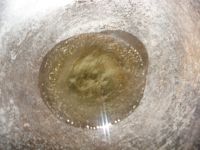 碎椒炒臭咸鸭蛋