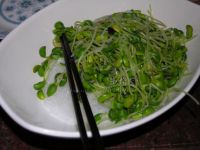 黑豆芽拌粉丝