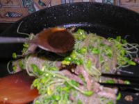 黑豆芽拌粉丝
