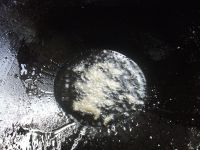 番茄蛋汤