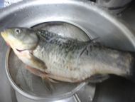 鲫鱼豆腐汤