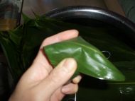 碱水粽