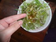 自制小菜--凉拌蒜白