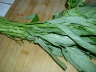 肉末空心菜梗