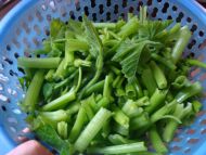 清炒香瓜藤