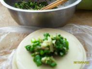 青萝卜水饺