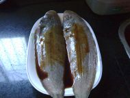 姜葱蒸龙舌鱼