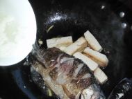 金沙鲫鱼